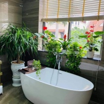 Bồn tắm đặt sàn độc lập Royal Lux