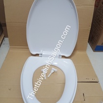 Nắp bồn cầu rơi êm  bồn cầu 1 Khối, 2 khối :Viglacera, TOTO, Inax, Casaer, American Standard, Benler, Proxia, HC, Minh Long,