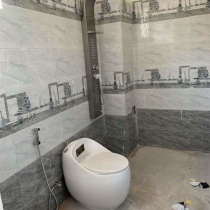 Combo TBVS Trọn Bộ Thiết Bị Vệ Sinh Phòng Tắm Cao Cấp [ GIÁ RẺ ] tại Tphcm, Hà Nội, Hải Phòng, Đà Nẵng, Cần Thơ