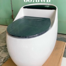 BỒN CẦU TRỨNG NẮP ĐEN. 6078 White Black