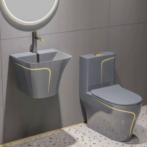 Bồn cầu liền khối màu Xám viền vàng