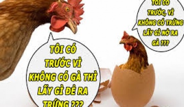 Câu châm ngôn, Triết lý vui đón Tết 2022