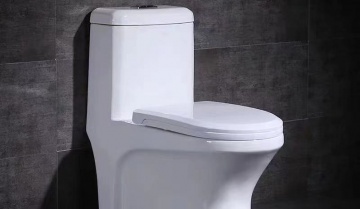 Bồn cầu liền 1 khối Q SADO