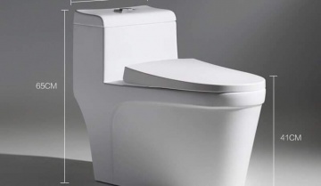 Năm 2021, nên mua bồn cầu vệ sinh loại nào? Thiết bị vệ sinh quận 12