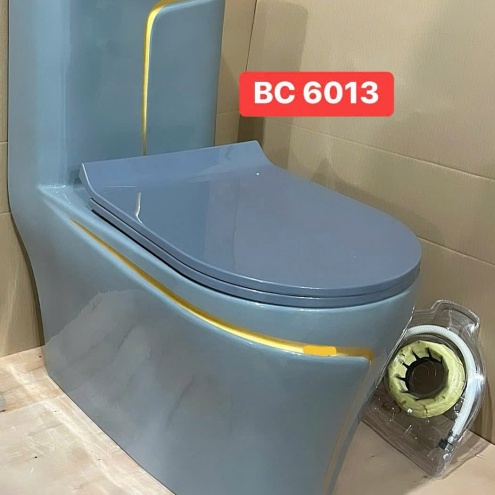 Bồn cầu liền khối màu Xám viền vàng