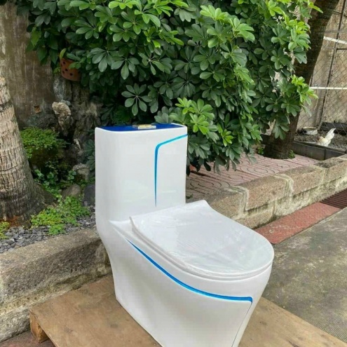 Bồn cầu nguyên 1 khối - Thiết Bị Vệ Sinh Giá Rẻ Tại Đức Hoà, Bến Lức -  Long An