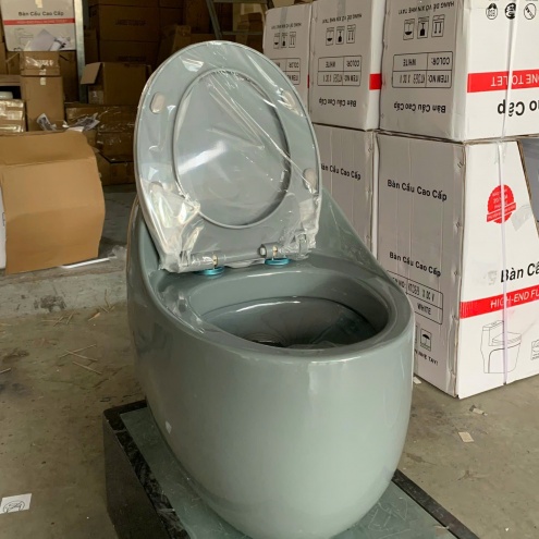 Bồn cầu nguyên 1 khối - Thiết Bị Vệ Sinh Giá Rẻ Tại Đức Hoà, Bến Lức -  Long An