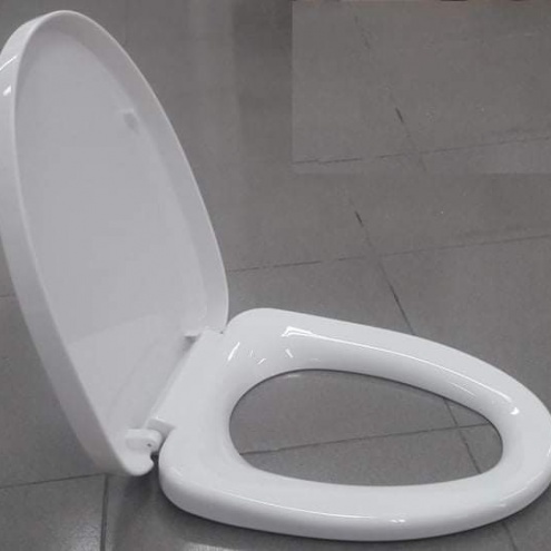 Nắp Bồn Cầu Inax, Viglacera, Ceasar, Toto, American Standard, Cotto, Basic, giá rẻ tại quận Tân phú, tphcm